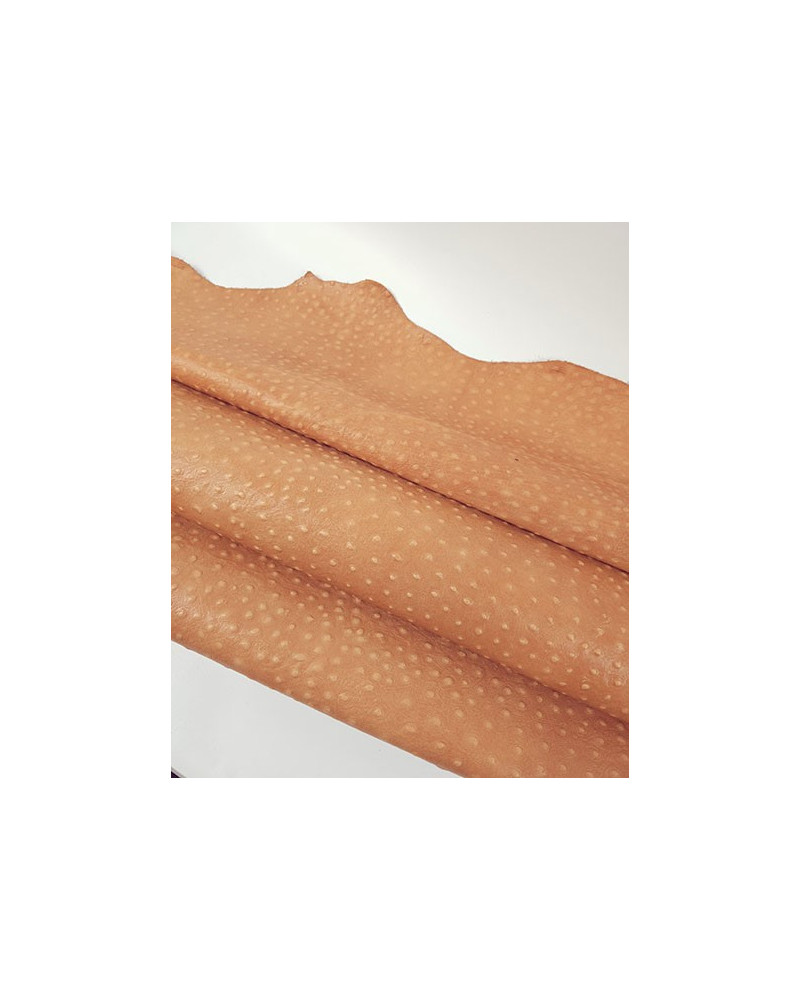 Peach Ostrich Embossed Relief