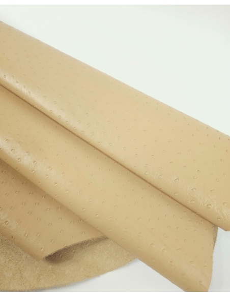 Beige Ostrich 2024 Embossed Texture