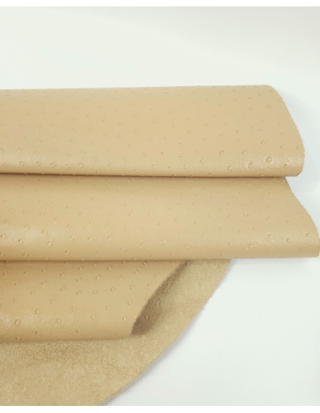Beige Ostrich 2024 Embossed Texture