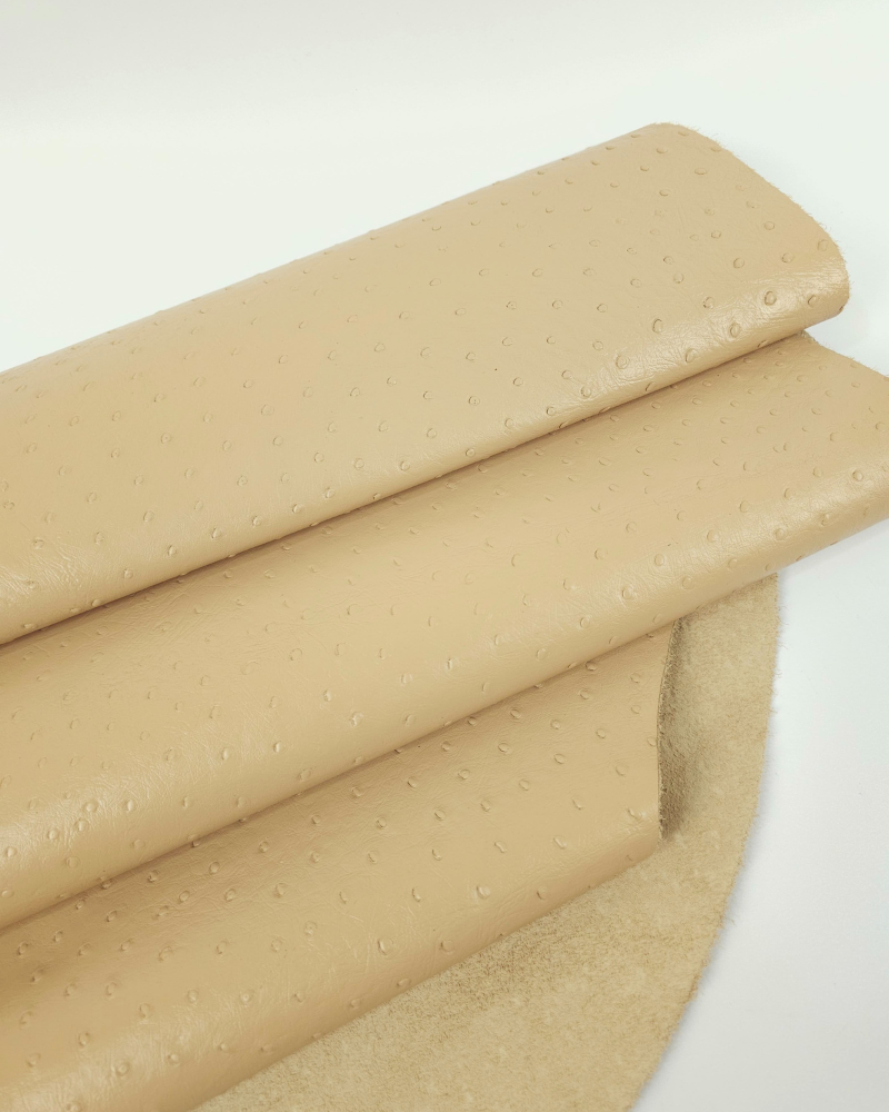 Beige Ostrich 2024 Embossed Texture