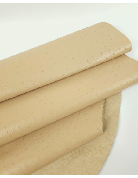 Beige Ostrich 2024 Embossed Texture