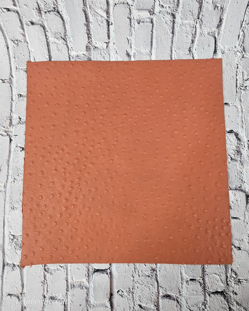 Ostrich Embossed Pattern Scraps | Offcuts | Pieces | Pack (Big Size) Genuine Leather