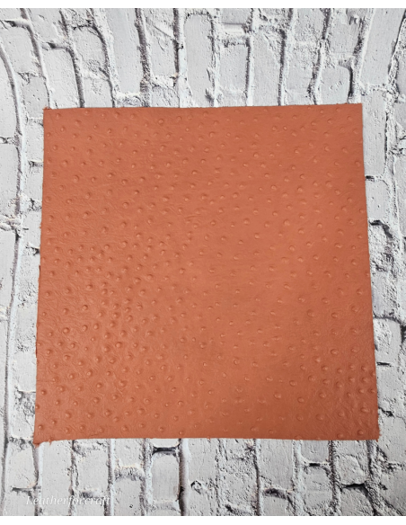 Ostrich Embossed Pattern Scraps | Offcuts | Pieces | Pack (Big Size) Genuine Leather