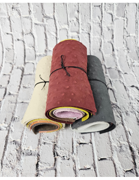Ostrich Embossed Pattern Scraps | Offcuts | Pieces | Pack (Small Size) Leather