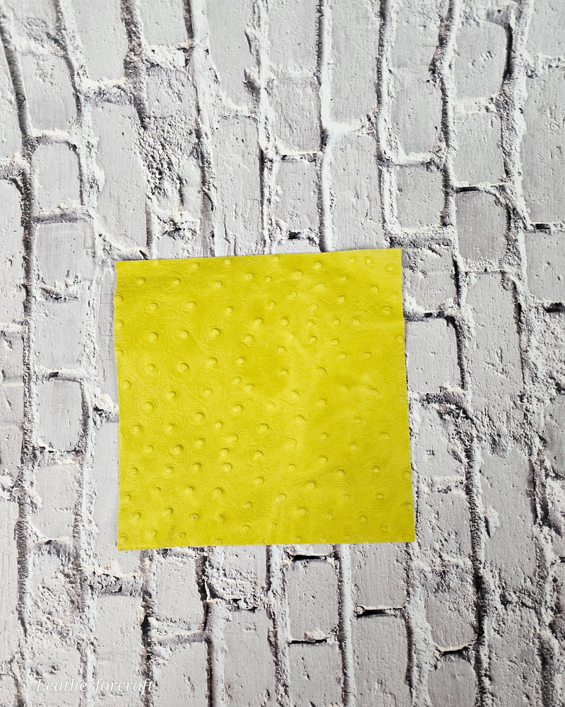 Ostrich Embossed Pattern Scraps | Offcuts | Pieces | Pack (Small Size) Leather