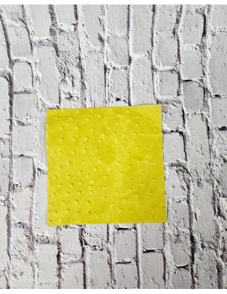 Ostrich Embossed Pattern Scraps | Offcuts | Pieces | Pack (Small Size) Leather