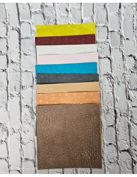 Ostrich Embossed Pattern Scraps | Offcuts | Pieces | Pack (Small Size) Leather