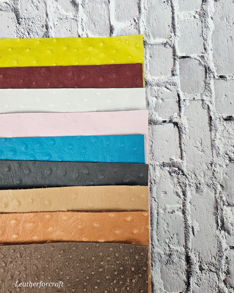 Ostrich Embossed Pattern Scraps | Offcuts | Pieces | Pack (Small Size) Leather