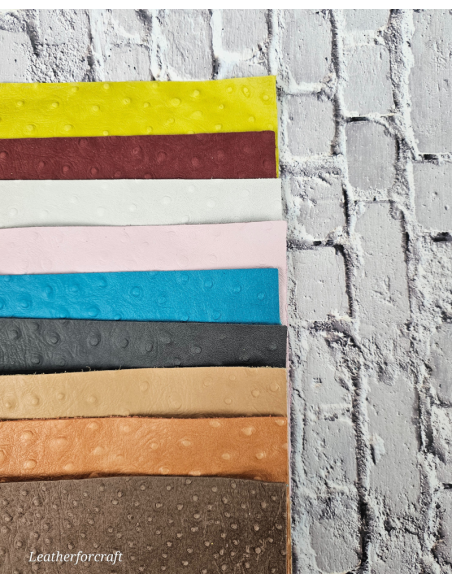 Ostrich Embossed Pattern Scraps | Offcuts | Pieces | Pack (Small Size) Leather