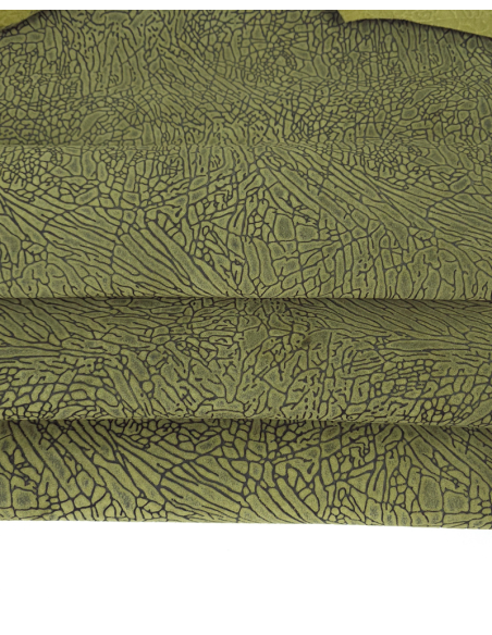 Amazonas Green and Black Elephant Suede Embossed Leather 2021