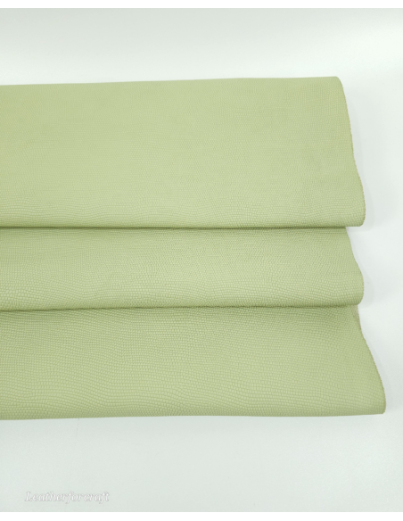 Iguana Embossed Texture Leather