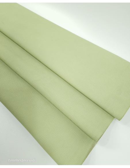 Iguana Embossed Texture Leather