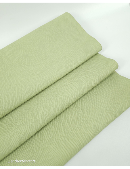 Iguana Embossed Texture Leather