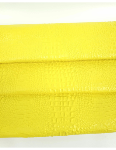 Golden Kiwi Crocodile Alligator Leather Embossed Texture Amazing Relief OZ 2018 V2
