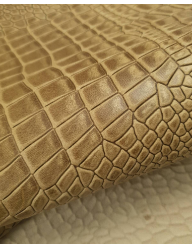 Beige Bicolor Embossed Amazing Relief Croco 0Z 1581