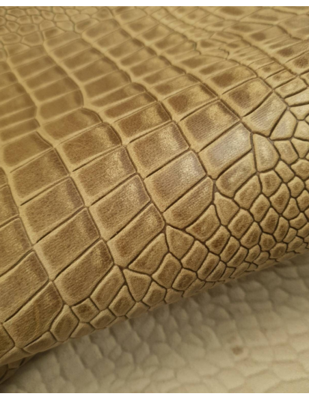 Beige Bicolor Embossed Amazing Relief Croco 0Z 1581