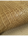Beige Bicolor Embossed Amazing Relief Croco 0Z 1581
