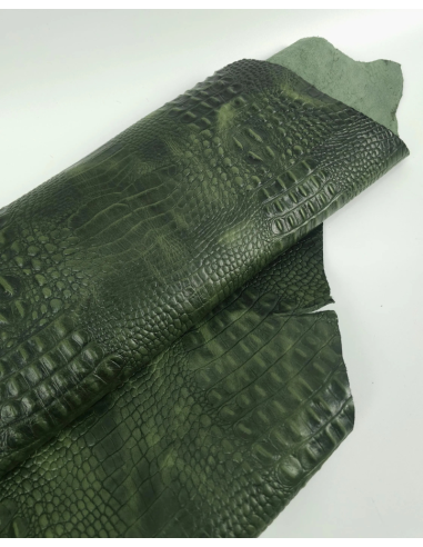 Douglas Fir Vintage Pull Up Crocodile Alligator Leather Embossed Texture Amazing Relief OZ 2018 V2