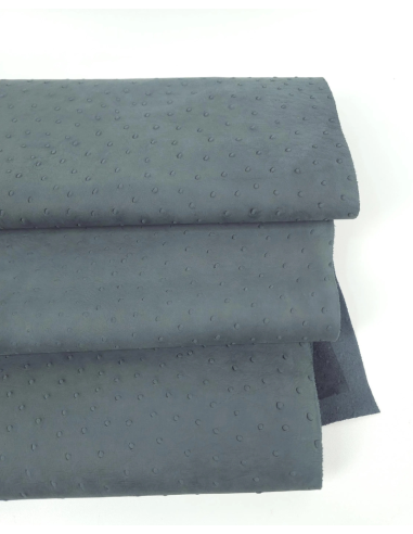 Stormy Weather Ostrich 2024 Embossed Texture Leather