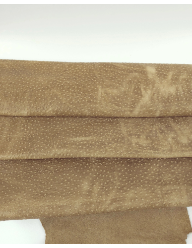 Safari Pull Up Ostrich 2023 Embossed Texture Leather