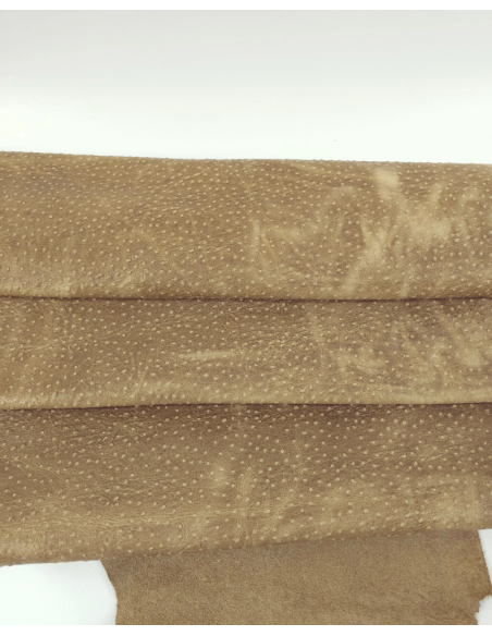 Safari Pull Up Ostrich 2023 Embossed Texture Leather