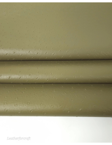 Nutria Ostrich 2024 Embossed Texture Leather