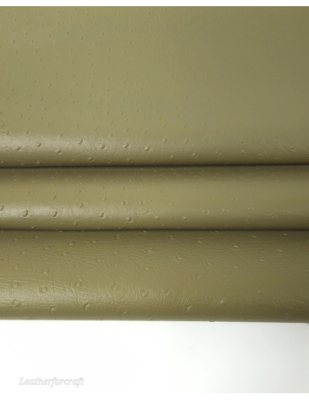 Nutria Ostrich 2024 Embossed Texture Leather