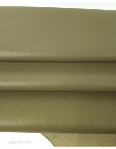Nutria Ostrich 2024 Embossed Texture Leather