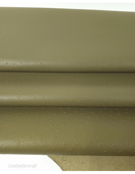 Nutria Ostrich 2024 Embossed Texture Leather