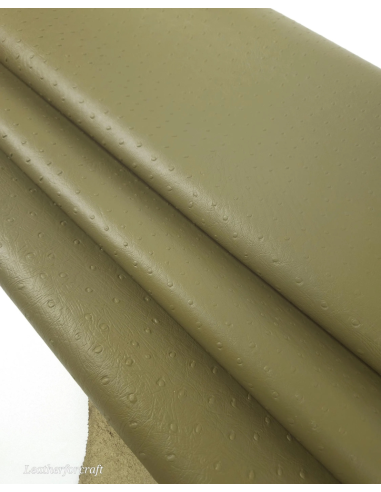 Nutria Ostrich 2024 Embossed Texture Leather