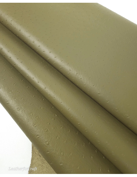 Nutria Ostrich 2024 Embossed Texture Leather