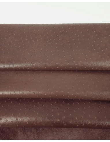 Medium Brown Ostrich 2024 Embossed Texture Leather