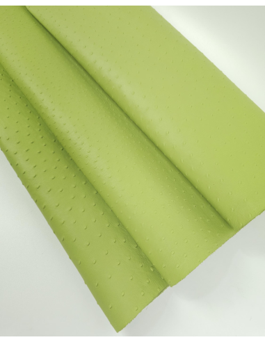 Herbal Green Ostrich 2024 Embossed Texture Leather
