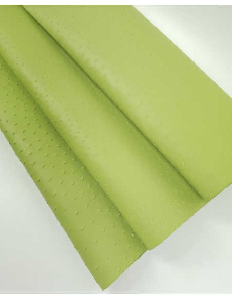 Herbal Green Ostrich 2024 Embossed Texture Leather