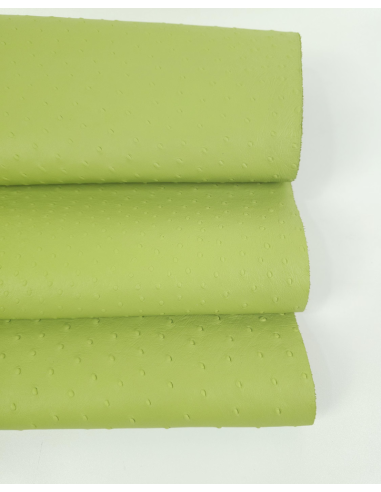 Herbal Green Ostrich 2024 Embossed Texture Leather