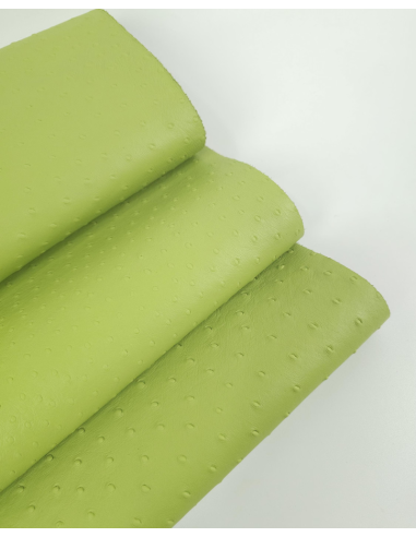 Herbal Green Ostrich 2024 Embossed Texture Leather
