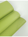 Herbal Green Ostrich 2024 Embossed Texture Leather