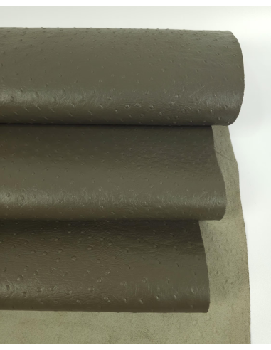 Sea Turtle Ostrich 2024 Embossed Texture Leather