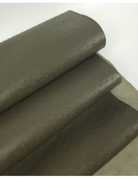 Sea Turtle Ostrich 2024 Embossed Texture Leather