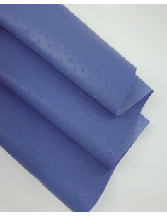 Riviera Ostrich 2024 Embossed Texture Leather 2