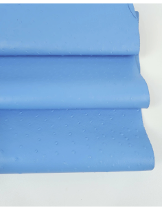 Bonnie Blue Ostrich 2024 Embossed Texture Leather 2