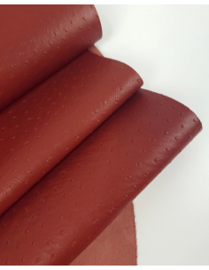 Picante Ostrich 2024 Embossed Texture Leather