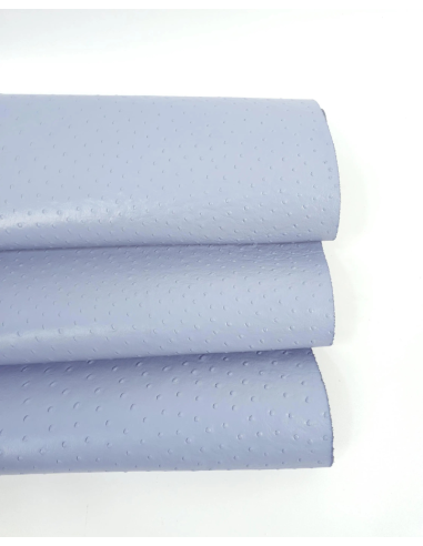 Celestial Blue Ostrich 2024 Embossed Texture Leather
