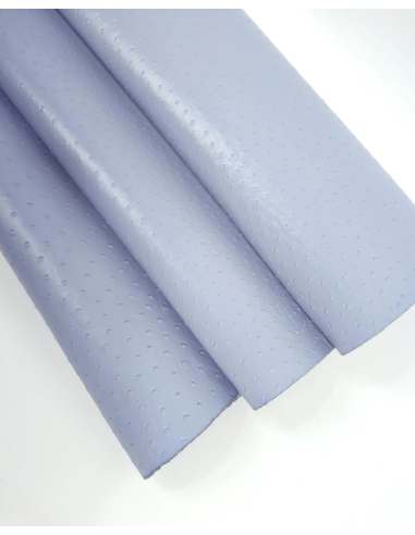 Celestial Blue Ostrich 2024 Embossed Texture Leather