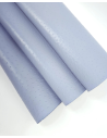 Celestial Blue Ostrich 2024 Embossed Texture Leather