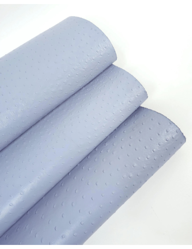 Celestial Blue Ostrich 2024 Embossed Texture Leather