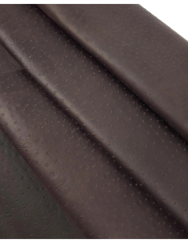 French Roast Ostrich 2024 Embossed Texture Leather