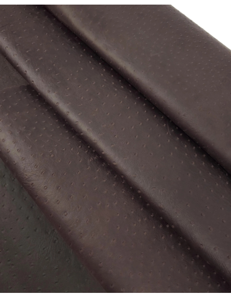 French Roast Ostrich 2024 Embossed Texture Leather
