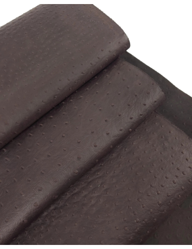 French Roast Ostrich 2024 Embossed Texture Leather