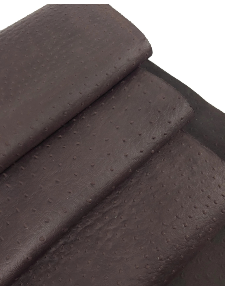 French Roast Ostrich 2024 Embossed Texture Leather